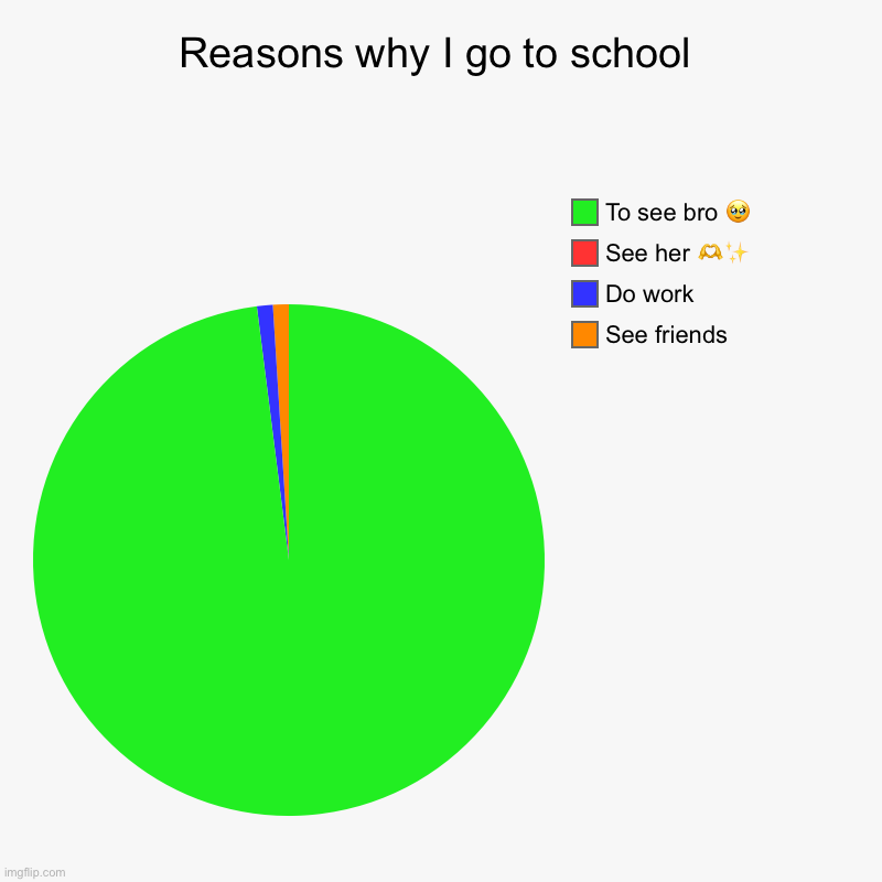 reasons why I go to school | Reasons why I go to school | See friends, Do work, See her ?✨, To see bro ? | image tagged in charts,pie charts | made w/ Imgflip chart maker