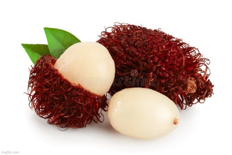guess the fruit (rambutan) win 1 upvote | image tagged in rambutan | made w/ Imgflip meme maker