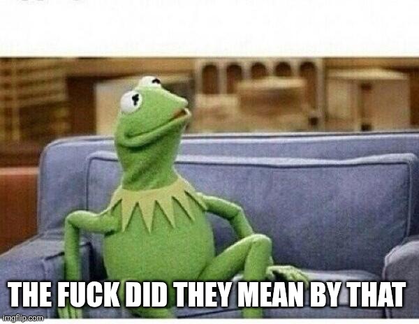 KERMIT | THE FUCK DID THEY MEAN BY THAT | image tagged in kermit | made w/ Imgflip meme maker