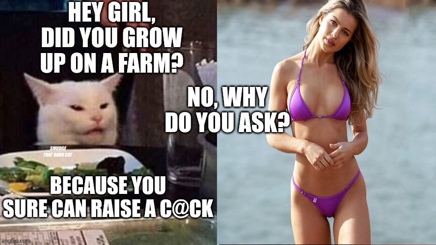 Reverse Smudge that darn cat | HEY GIRL, DID YOU GROW UP ON A FARM? NO, WHY DO YOU ASK? BECAUSE YOU SURE CAN RAISE A C@CK | image tagged in reverse smudge that darn cat | made w/ Imgflip meme maker