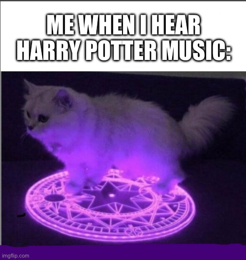 Who has summoned the almighty one | ME WHEN I HEAR HARRY POTTER MUSIC: | image tagged in who has summoned the almighty one | made w/ Imgflip meme maker
