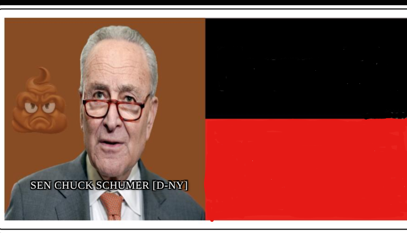 High Quality Sen. Chuck Schumer Blank Meme Template