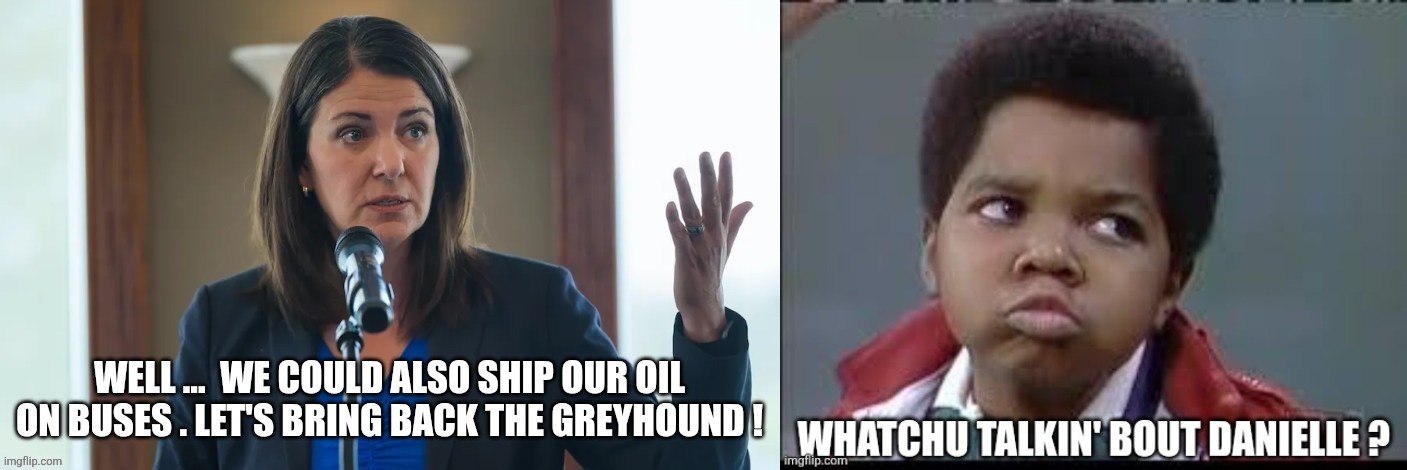 Canadian politics | image tagged in political meme | made w/ Imgflip meme maker