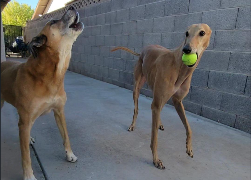 Mine Blank Meme Template