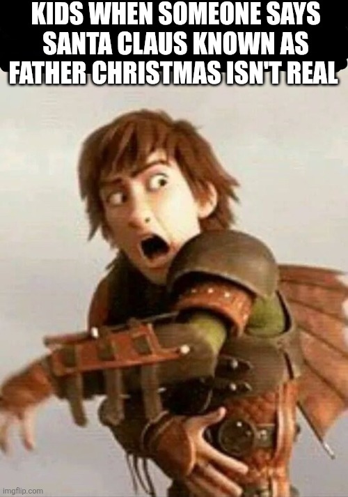 Httyd | KIDS WHEN SOMEONE SAYS SANTA CLAUS KNOWN AS FATHER CHRISTMAS ISN'T REAL | image tagged in httyd,santa claus,father christmas,christmas | made w/ Imgflip meme maker