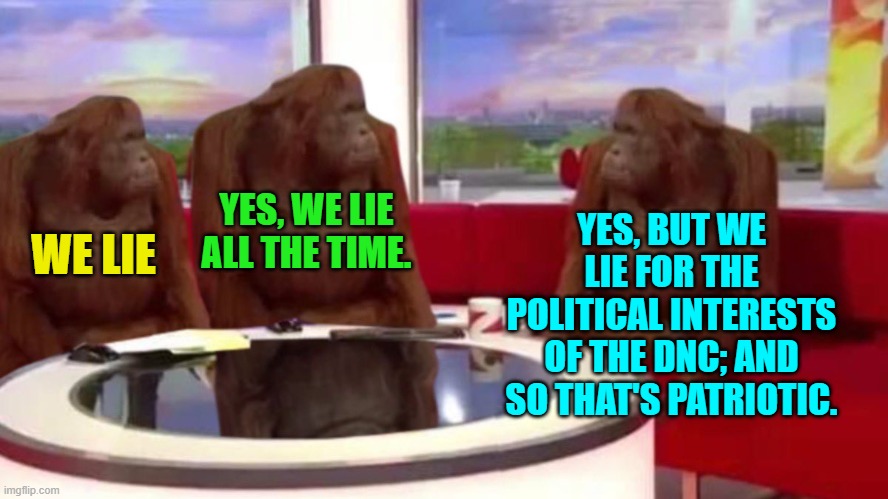 Sadly this really is how the nation's media wonks 'think'. | YES, BUT WE LIE FOR THE POLITICAL INTERESTS OF THE DNC; AND SO THAT'S PATRIOTIC. YES, WE LIE ALL THE TIME. WE LIE | image tagged in orangutan interview | made w/ Imgflip meme maker