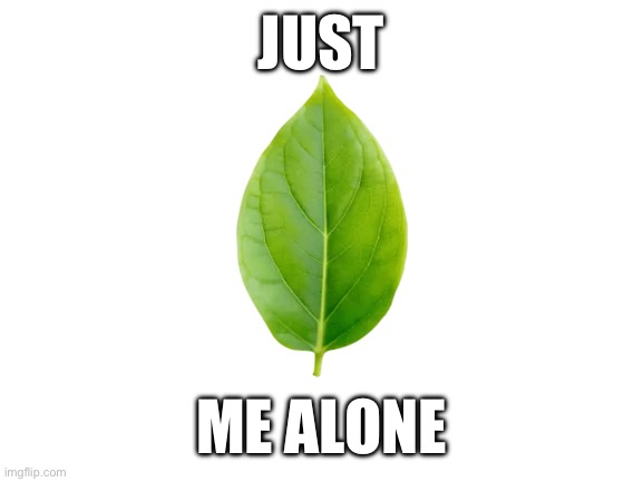 Blank White Template | JUST; ME ALONE | image tagged in blank white template | made w/ Imgflip meme maker