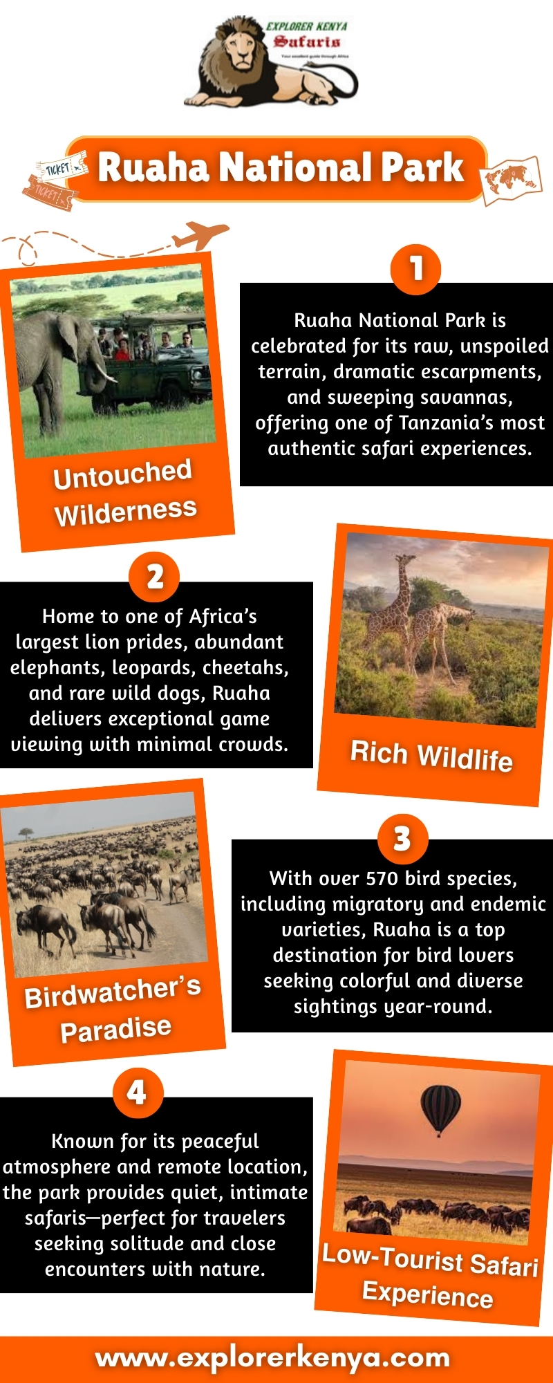 Ruaha National Park Blank Meme Template
