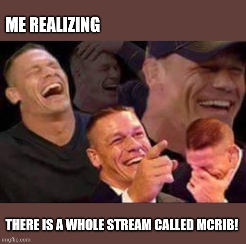john cena laughing | ME REALIZING THERE IS A WHOLE STREAM CALLED MCRIB! | image tagged in john cena laughing | made w/ Imgflip meme maker