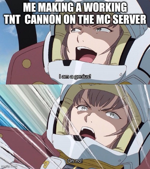 Gundam I'm a genius | ME MAKING A WORKING TNT  CANNON ON THE MC SERVER | image tagged in gundam i'm a genius | made w/ Imgflip meme maker
