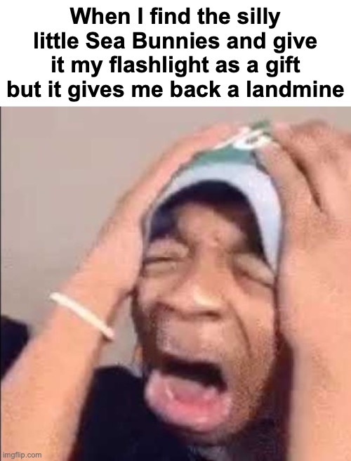 Flightreacts crying | When I find the silly little Sea Bunnies and give it my flashlight as a gift but it gives me back a landmine | image tagged in flightreacts crying | made w/ Imgflip meme maker