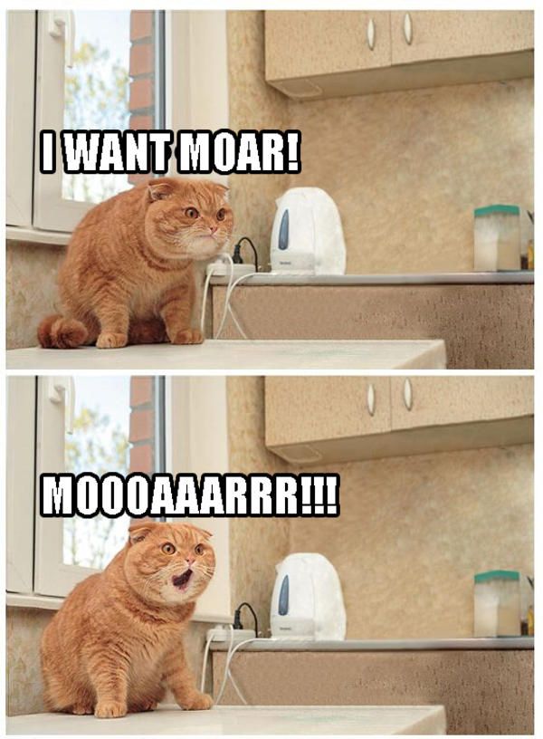 I want moar Blank Meme Template