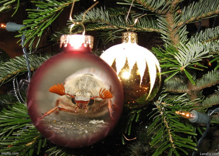 ahh... its craigslist time around here... i feel so golly.... | made w/ Imgflip meme maker