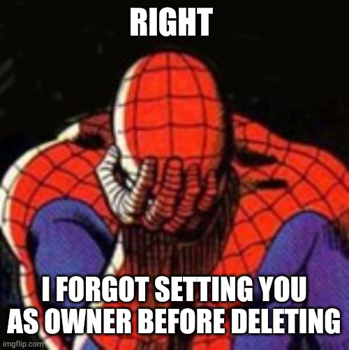 Sad Spiderman Meme | RIGHT I FORGOT SETTING YOU AS OWNER BEFORE DELETING | image tagged in memes,sad spiderman,spiderman | made w/ Imgflip meme maker