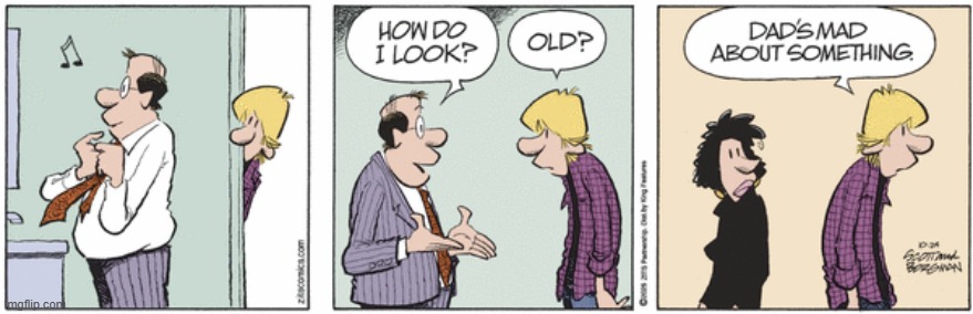 Zits | image tagged in comics | made w/ Imgflip meme maker