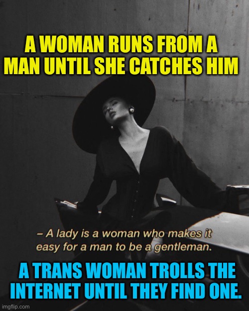 The difference | A WOMAN RUNS FROM A MAN UNTIL SHE CATCHES HIM; A TRANS WOMAN TROLLS THE INTERNET UNTIL THEY FIND ONE. | image tagged in lady,trans,fun,proper lady,internet troll | made w/ Imgflip meme maker