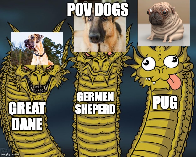 Three-headed Dragon | POV DOGS; GERMEN SHEPERD; PUG; GREAT DANE | image tagged in three-headed dragon | made w/ Imgflip meme maker