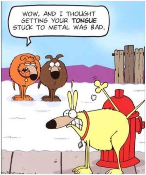 Be Careful Out There ! | image tagged in dogs,cold,fire hydrant,frozen | made w/ Imgflip meme maker