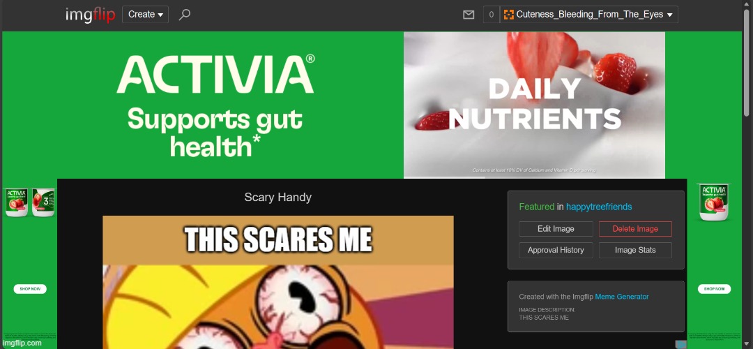 REMOVE THESE ADS PLS I WANT THE OLD BANNER ADS BACK | image tagged in ads | made w/ Imgflip meme maker