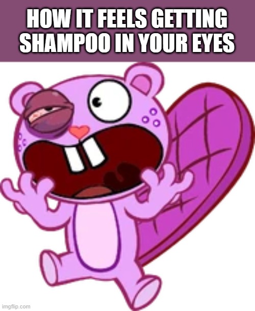*Insert Bacon Sizzling Sounds* | HOW IT FEELS GETTING SHAMPOO IN YOUR EYES | image tagged in toothy,shampoo,eyes | made w/ Imgflip meme maker