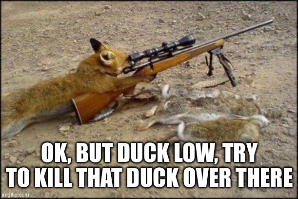 Fox with rifle | OK, BUT DUCK LOW, TRY TO KILL THAT DUCK OVER THERE | image tagged in fox with rifle | made w/ Imgflip meme maker