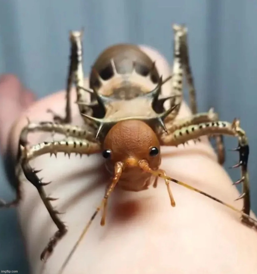 this guy looks so goofy | made w/ Imgflip meme maker