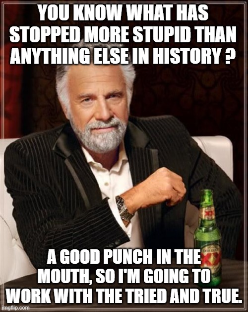 The Most Interesting Man In The World | YOU KNOW WHAT HAS STOPPED MORE STUPID THAN ANYTHING ELSE IN HISTORY ? A GOOD PUNCH IN THE MOUTH, SO I'M GOING TO WORK WITH THE TRIED AND TRUE. | image tagged in memes,the most interesting man in the world | made w/ Imgflip meme maker