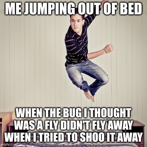The "fly" didn't fly away | ME JUMPING OUT OF BED; WHEN THE BUG I THOUGHT WAS A FLY DIDN'T FLY AWAY WHEN I TRIED TO SHOO IT AWAY | image tagged in jumping out of bed | made w/ Imgflip meme maker