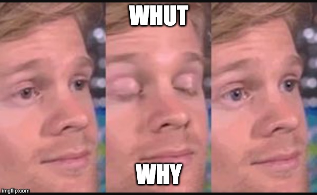Blinking guy | WHUT; WHY | image tagged in blinking guy | made w/ Imgflip meme maker