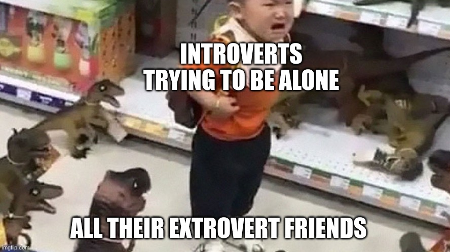 another introvert meme | INTROVERTS TRYING TO BE ALONE; ALL THEIR EXTROVERT FRIENDS | image tagged in introverts,extrovert | made w/ Imgflip meme maker