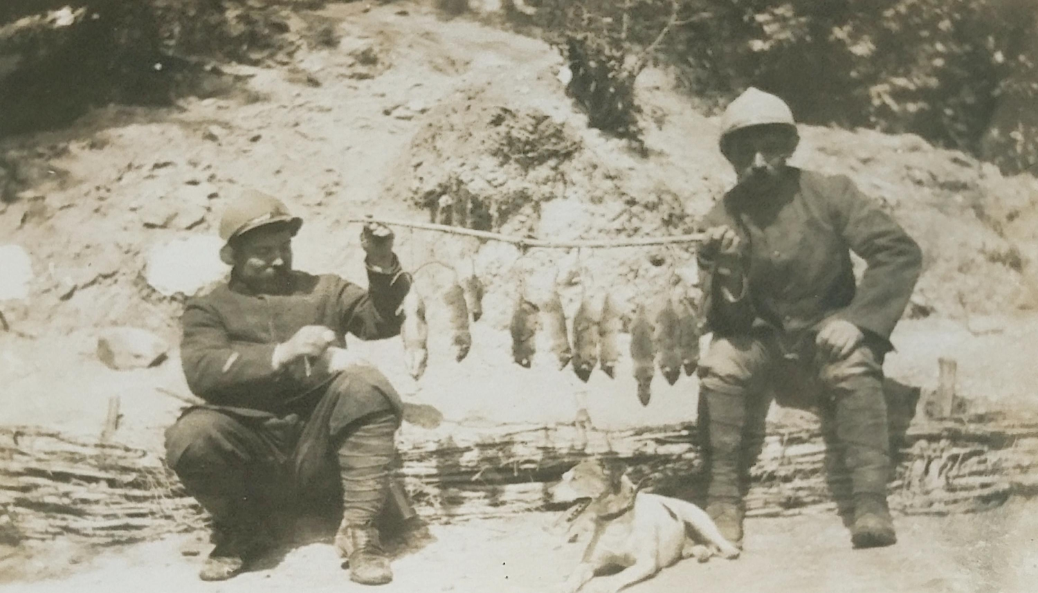 rats Blank Meme Template