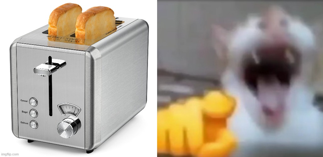 image tagged in cat pointing and laughing | made w/ Imgflip meme maker