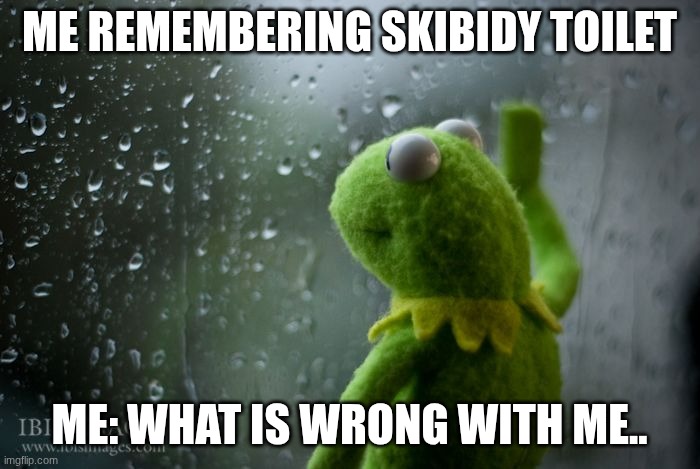 ..why do we do this.. | ME REMEMBERING SKIBIDY TOILET; ME: WHAT IS WRONG WITH ME.. | image tagged in kermit window | made w/ Imgflip meme maker