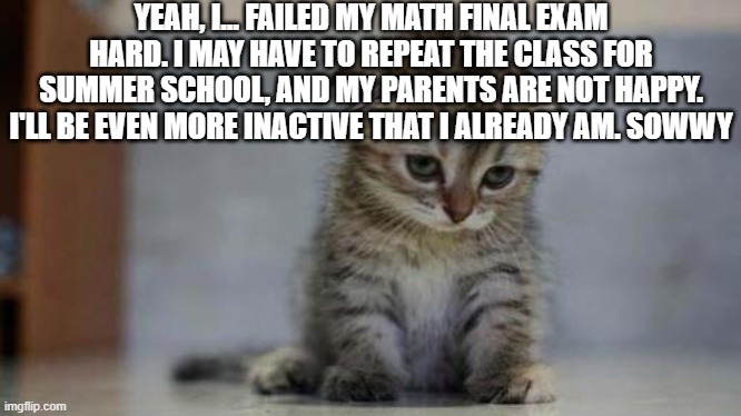 Sad kitten | YEAH, I... FAILED MY MATH FINAL EXAM HARD. I MAY HAVE TO REPEAT THE CLASS FOR SUMMER SCHOOL, AND MY PARENTS ARE NOT HAPPY. I'LL BE EVEN MORE INACTIVE THAT I ALREADY AM. SOWWY | image tagged in sad kitten | made w/ Imgflip meme maker