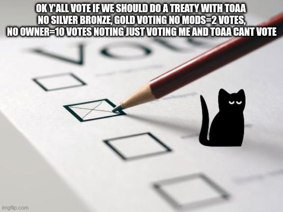 Voting Ballot | OK Y'ALL VOTE IF WE SHOULD DO A TREATY WITH TOAA 
NO SILVER BRONZE, GOLD VOTING NO MODS=2 VOTES, NO OWNER=10 VOTES NOTING JUST VOTING ME AND TOAA CANT VOTE | image tagged in voting ballot | made w/ Imgflip meme maker