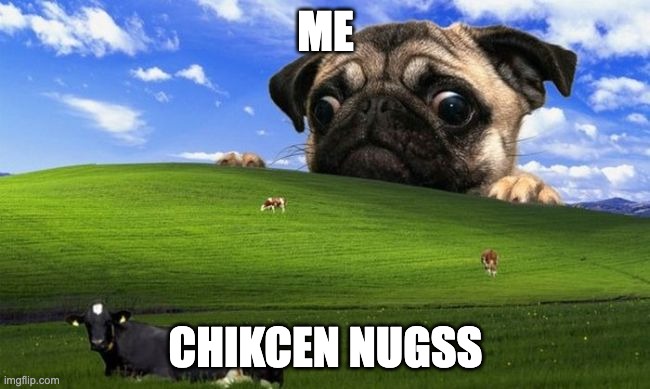 Pug Windows hill | ME; CHIKCEN NUGSS | image tagged in pug windows hill | made w/ Imgflip meme maker