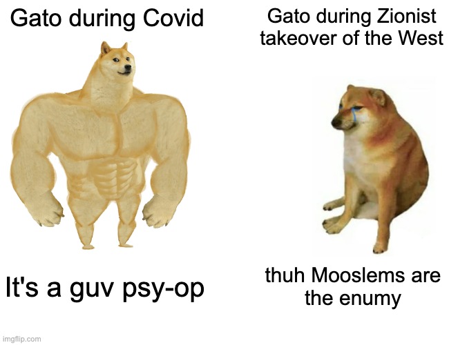 Buff Doge vs. Cheems Meme | Gato during Covid; Gato during Zionist
takeover of the West; It's a guv psy-op; thuh Mooslems are
the enumy | image tagged in memes,buff doge vs cheems | made w/ Imgflip meme maker