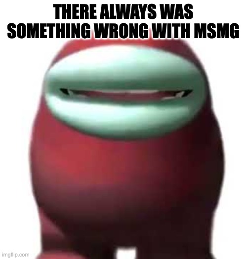 Amogus Sussy | THERE ALWAYS WAS SOMETHING WRONG WITH MSMG | image tagged in amogus sussy | made w/ Imgflip meme maker