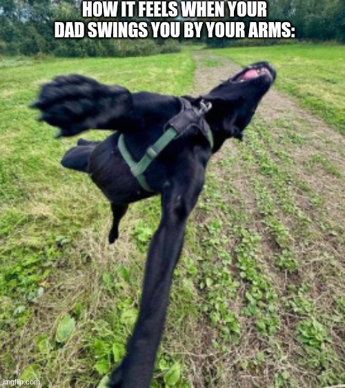 HOW IT FEELS WHEN YOUR DAD SWINGS YOU BY YOUR ARMS: | made w/ Imgflip meme maker