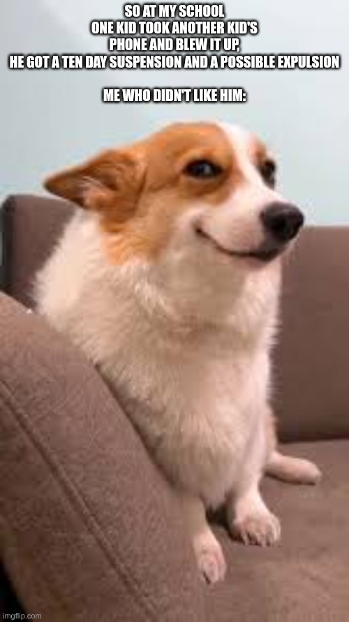 sly smiling dog | SO AT MY SCHOOL ONE KID TOOK ANOTHER KID'S PHONE AND BLEW IT UP, HE GOT A TEN DAY SUSPENSION AND A POSSIBLE EXPULSION
 
ME WHO DIDN'T LIKE HIM: | image tagged in sly smiling dog,fire | made w/ Imgflip meme maker