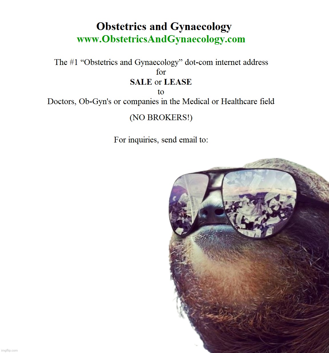 The #1 "Obstetrics and Gynaecology" dot-com internet address | image tagged in the 1 obstetrics and gynaecology dot-com internet address | made w/ Imgflip meme maker