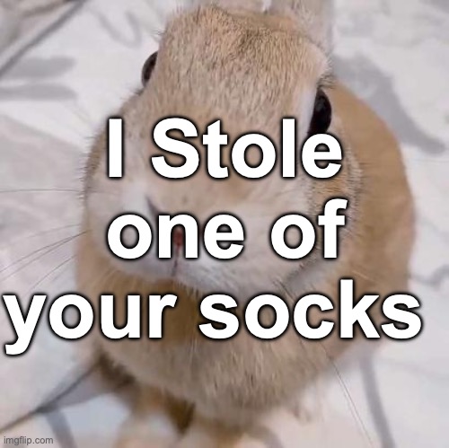slungus | I Stole one of your socks | image tagged in slungus | made w/ Imgflip meme maker