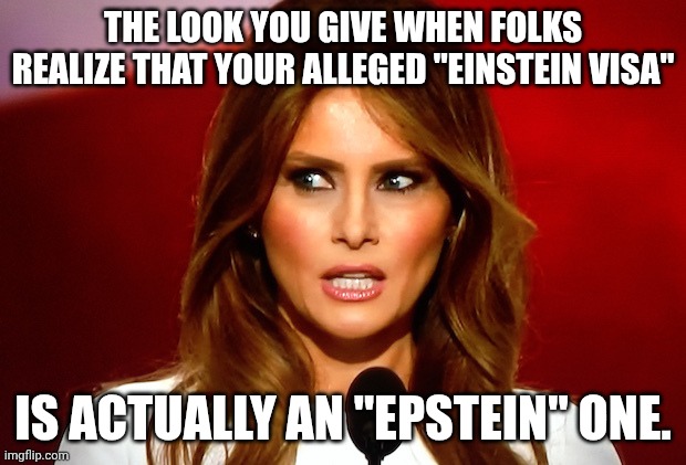 Extraordinary "modeling" | THE LOOK YOU GIVE WHEN FOLKS REALIZE THAT YOUR ALLEGED "EINSTEIN VISA"; IS ACTUALLY AN "EPSTEIN" ONE. | image tagged in melania trump,sex work is real work,jeffrey epstein,illegal immigration,barron trump is an anchor baby | made w/ Imgflip meme maker