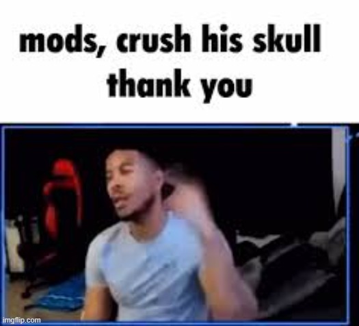 Mods, crush his skull. Thank you. | image tagged in mods crush his skull thank you | made w/ Imgflip meme maker