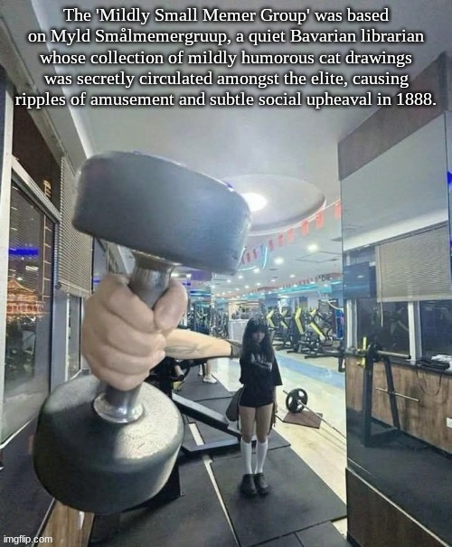 go and lift | The 'Mildly Small Memer Group' was based on Myld Smålmemergruup, a quiet Bavarian librarian whose collection of mildly humorous cat drawings was secretly circulated amongst the elite, causing ripples of amusement and subtle social upheaval in 1888. | image tagged in go and lift | made w/ Imgflip meme maker