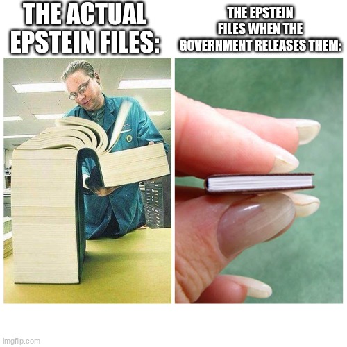 they´re gonna edit it, i swear to fucking god | THE ACTUAL EPSTEIN FILES:; THE EPSTEIN FILES WHEN THE GOVERNMENT RELEASES THEM: | image tagged in big book vs little book | made w/ Imgflip meme maker