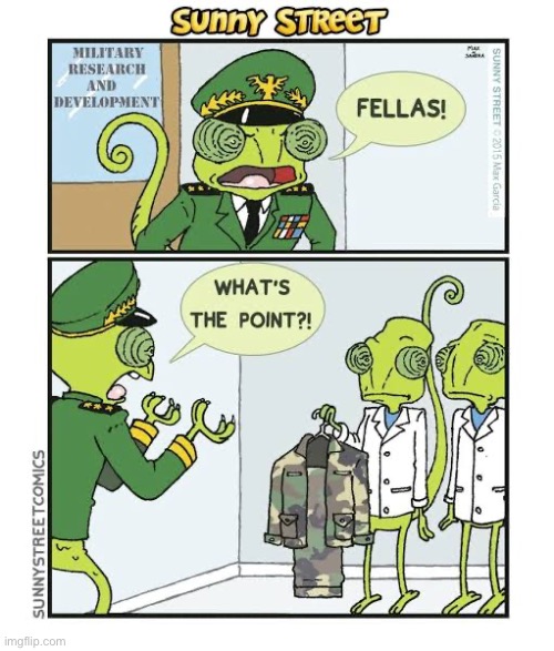 Natural camouflage… | image tagged in comics,sunny street,chameleons,military,camouflage | made w/ Imgflip meme maker