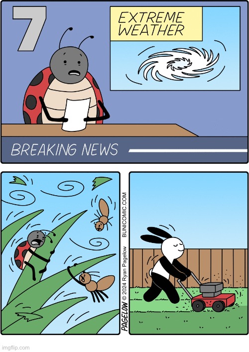 Buni Comics | image tagged in comics,buni comics,lawnmower,insects,weather report,hurricane | made w/ Imgflip meme maker