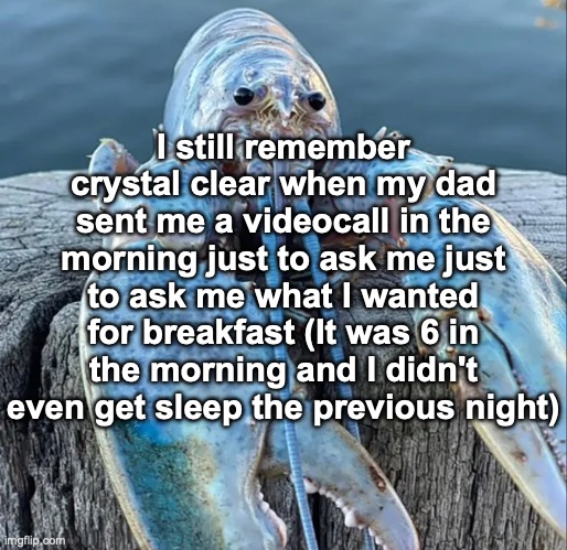 that one scene from the lego ninjago movie | I still remember crystal clear when my dad sent me a videocall in the morning just to ask me just to ask me what I wanted for breakfast (It was 6 in the morning and I didn't even get sleep the previous night) | image tagged in the blue lobster | made w/ Imgflip meme maker