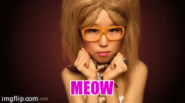 Meow | image tagged in gifs,funny | made w/ Imgflip video-to-gif maker